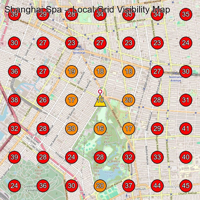 Shanghai Spa GeoGrid visibility map for Nail Salon in Brooklyn